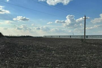Производственная деятельность, 4 га