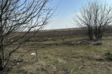 ИЖС, 18 сот.
