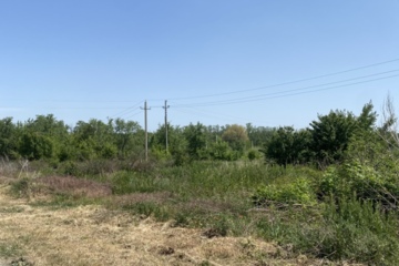 Ведение огородничества, 6 сот.